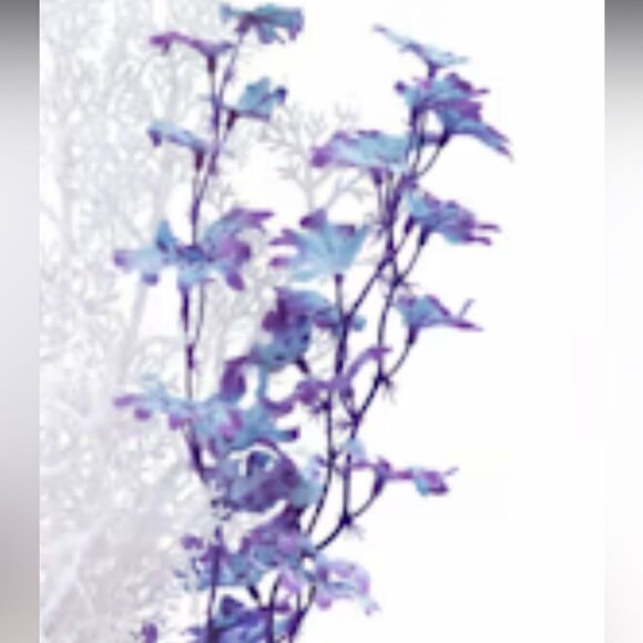 🌸HP🌸BiOrb Kelp in Purple! - Picture 4 of 5